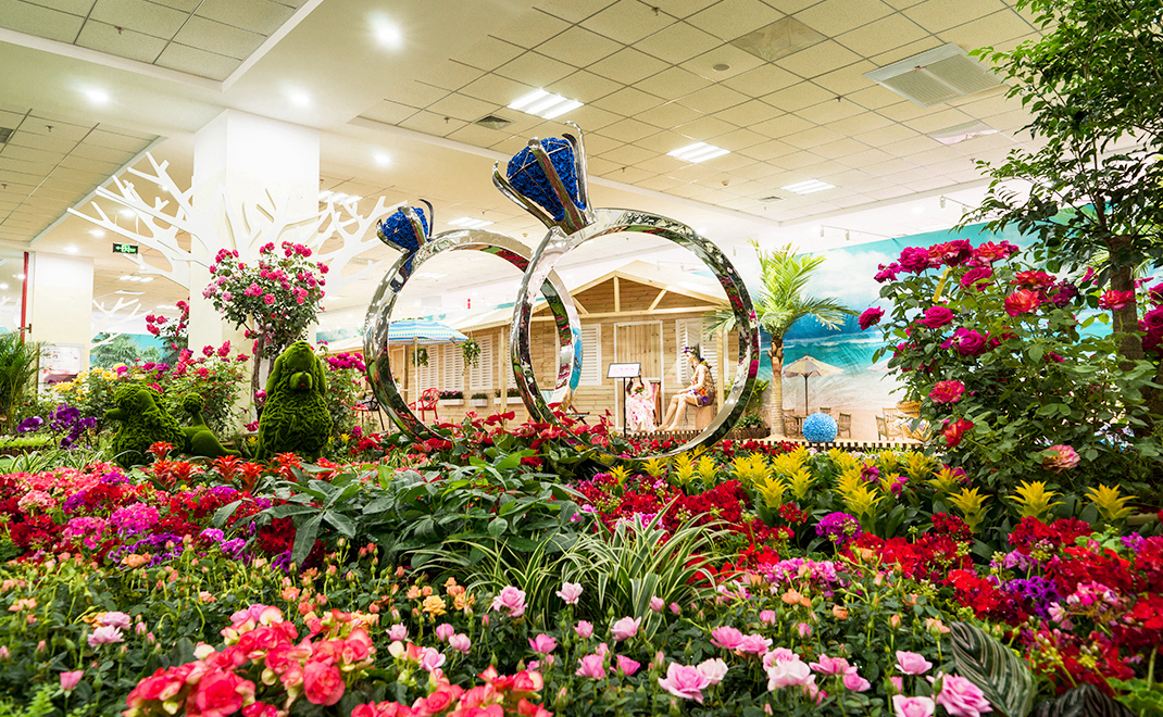 2016年唐山世園會國際精品月季展賽作品