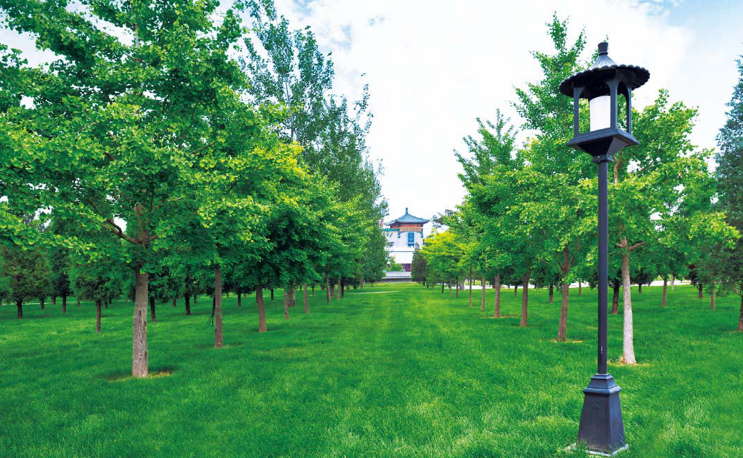 2001年·天壇公園東北外壇拆遷還綠工程